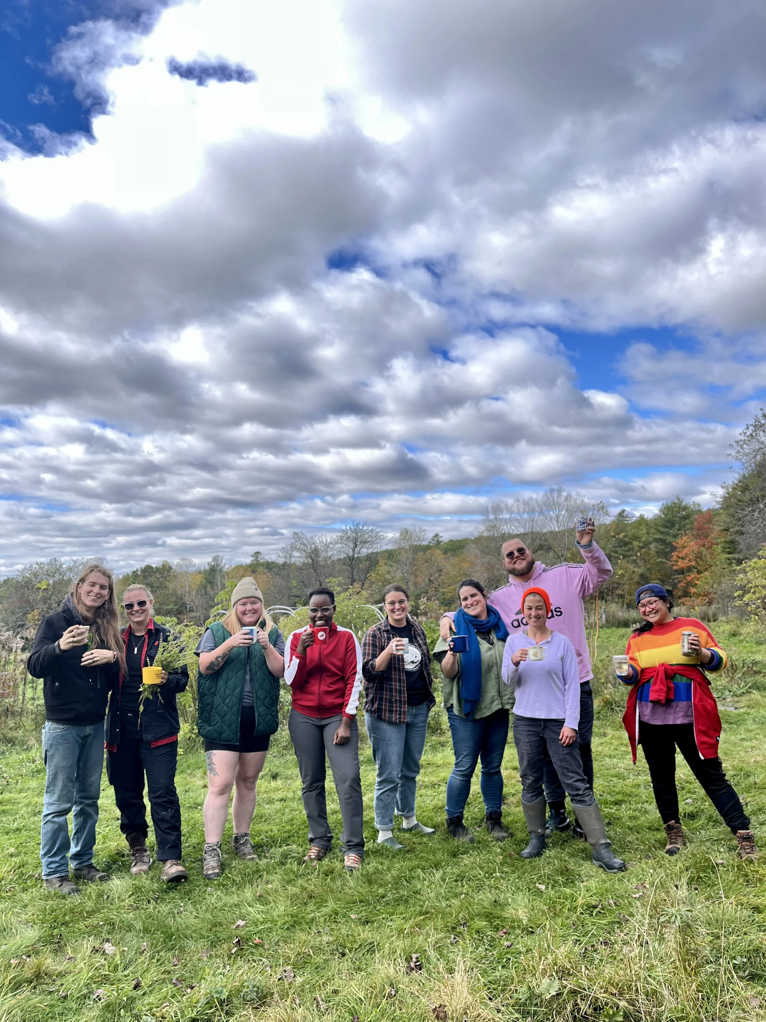 Medicinal Plant ID & Foraging, October 2023. Mount Vernon.