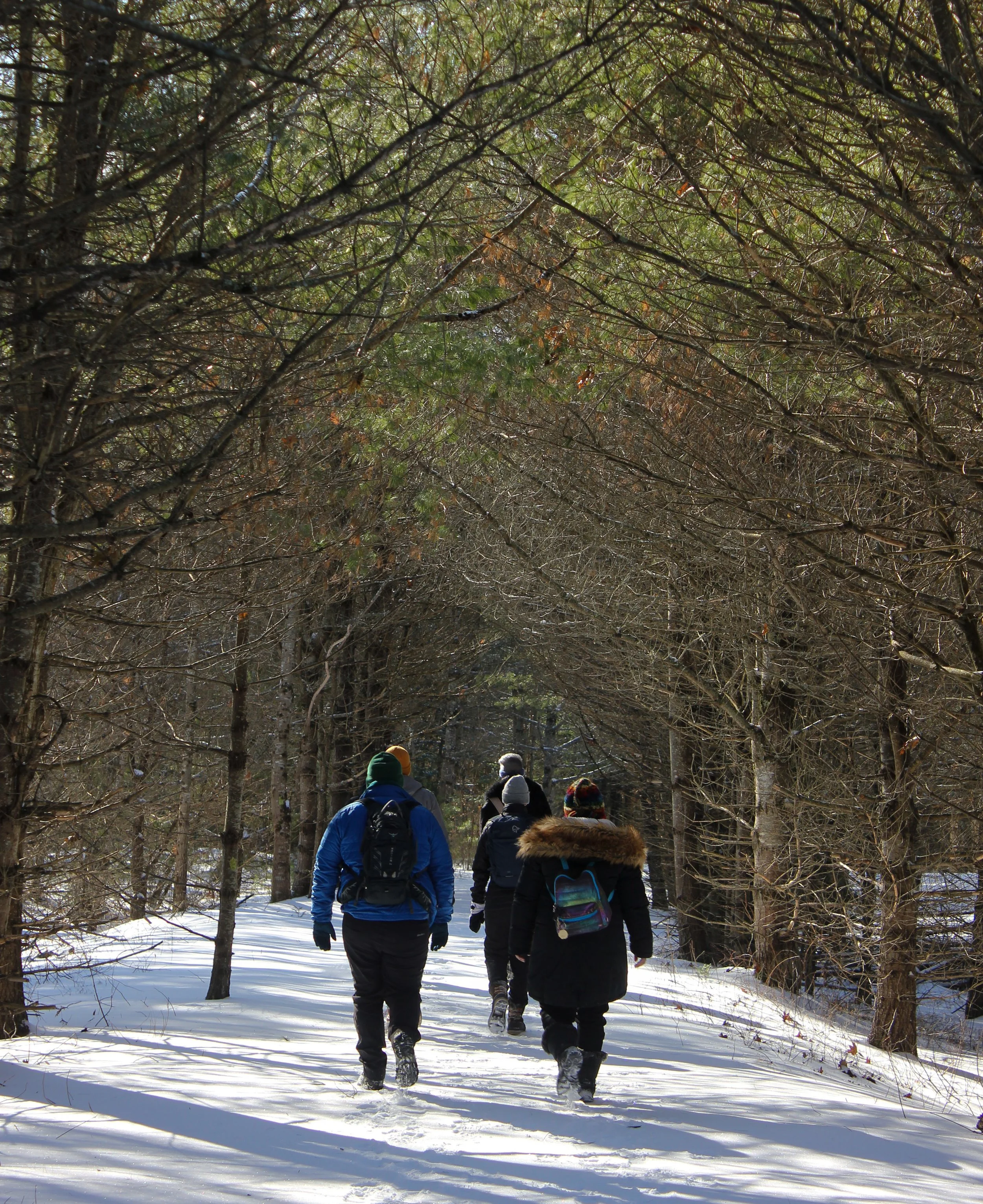 Winter Walk February 2022. Brunswick-Topsham Land Trust.