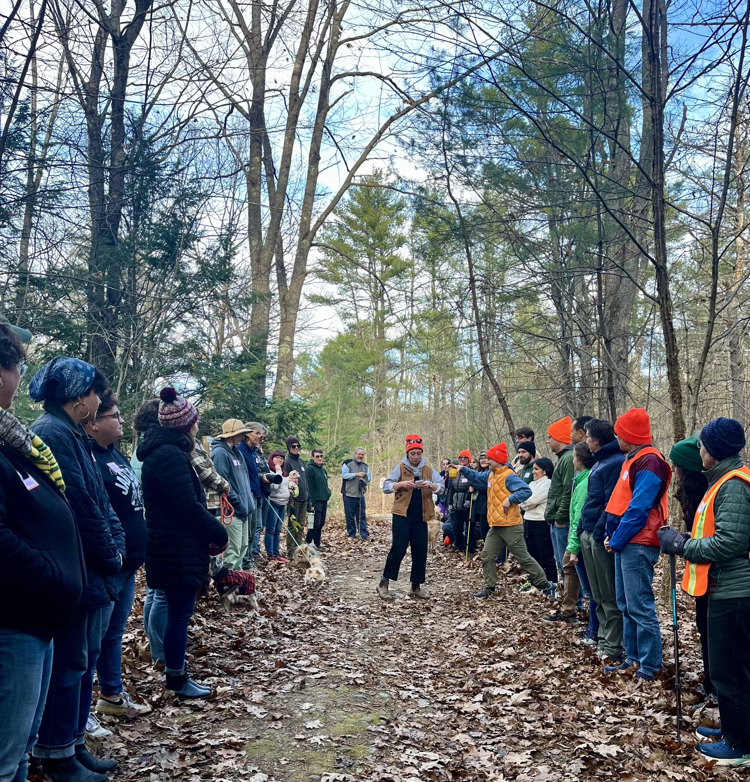 Trail Mixer, November 2024. Brunswick-Topsham Land Trust.
