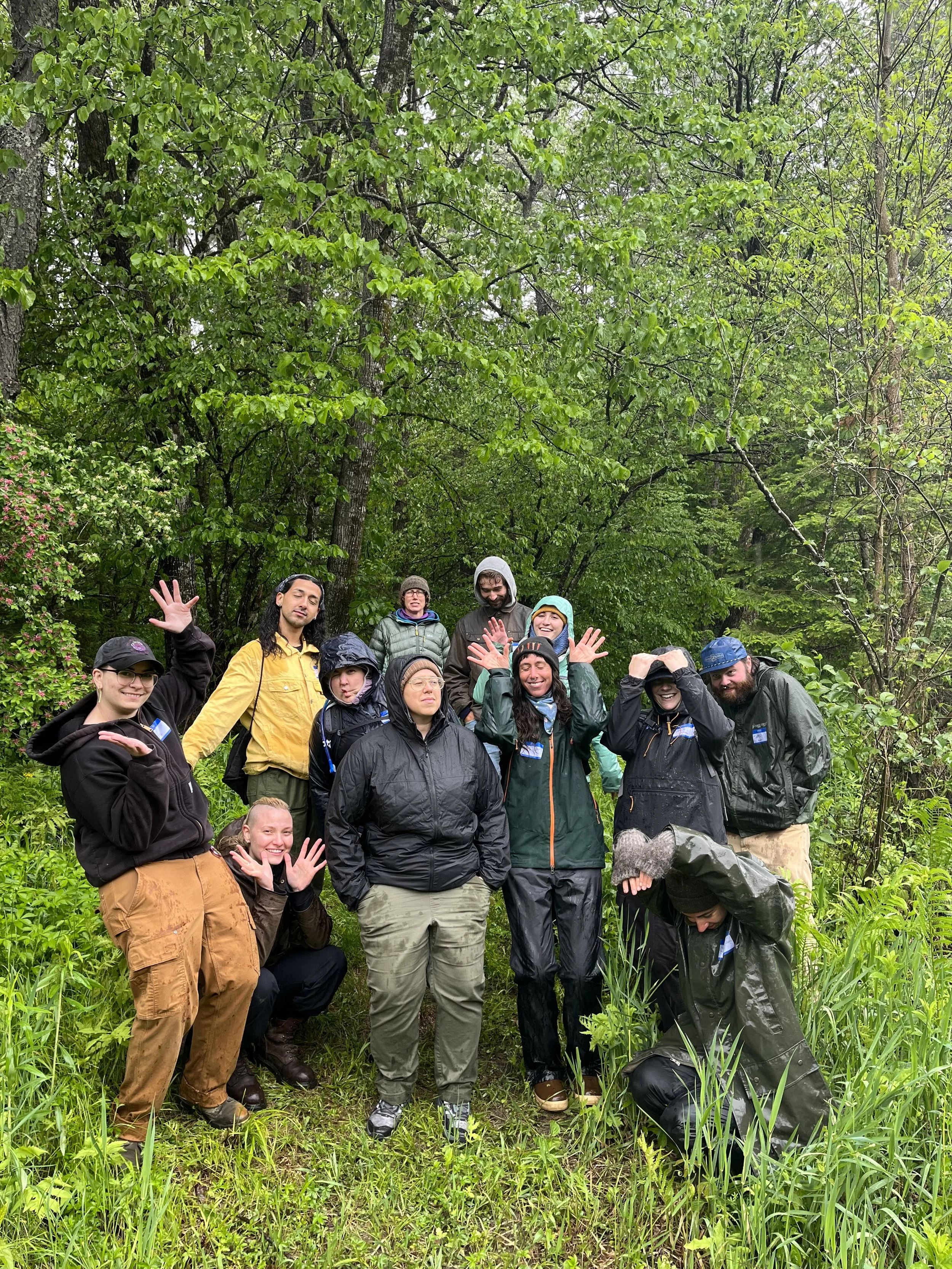 Plant ID, June 2023. Skowhegan.