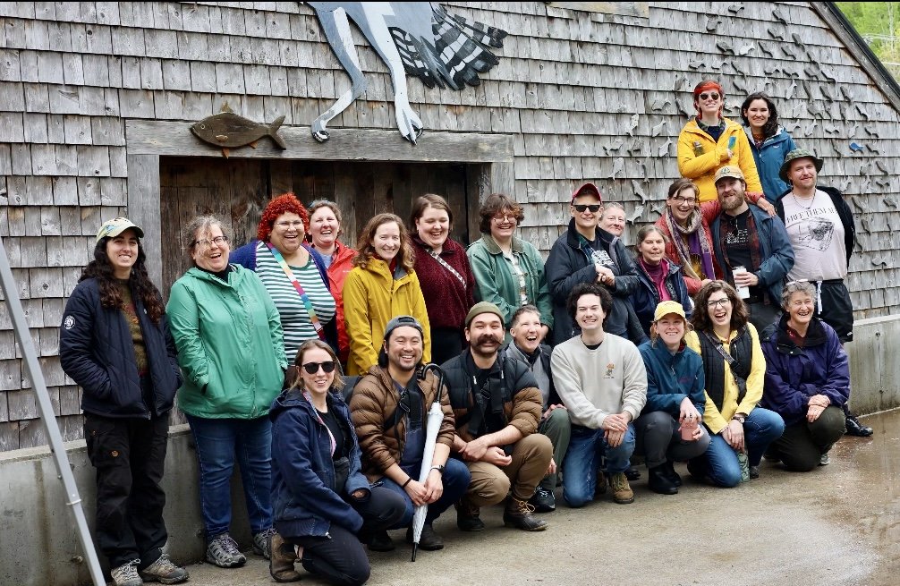 Alewife Migration Walk, May 2025. Damariscotta Mills, Nobleboro.