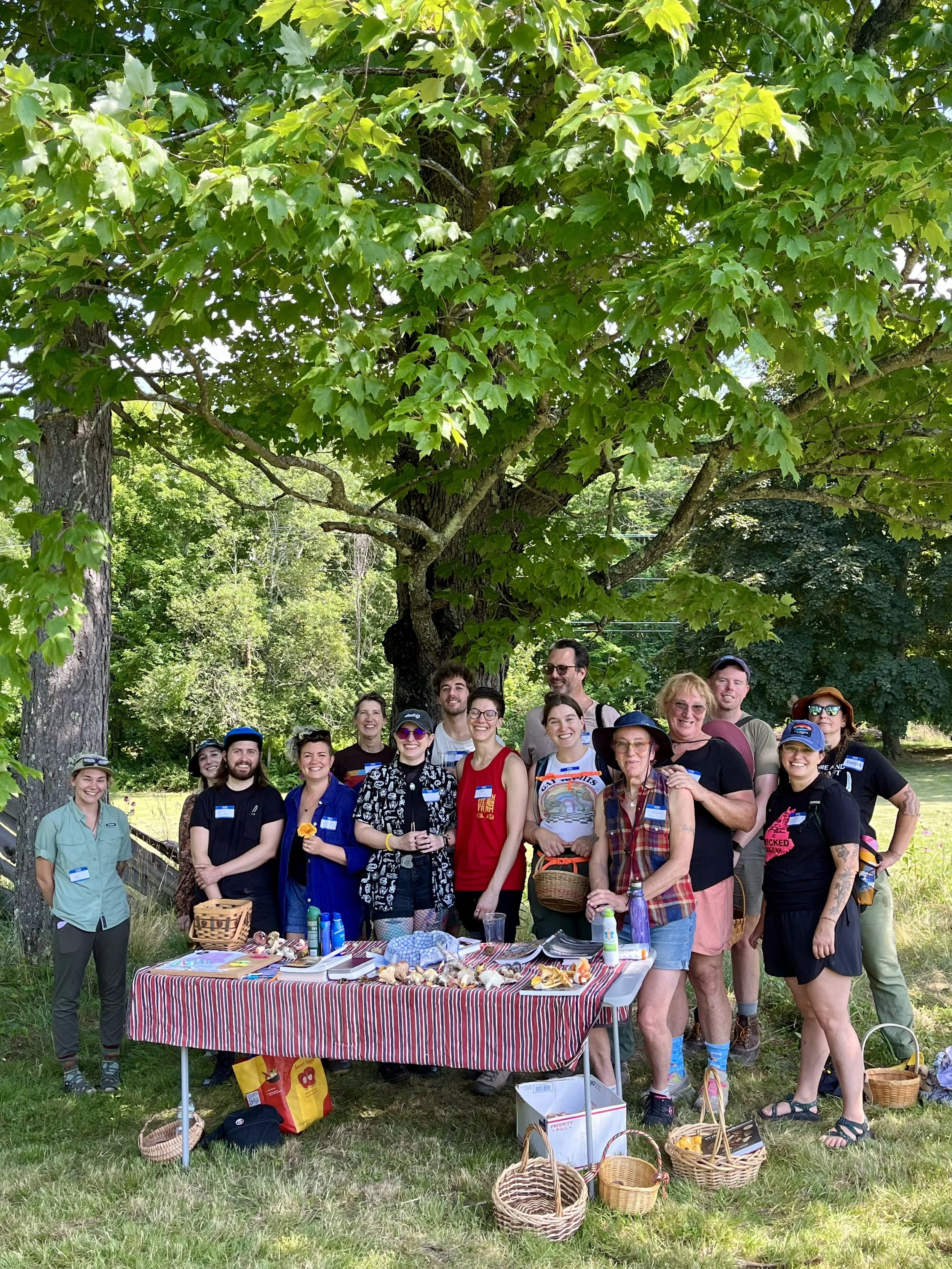 Medicinal Plant ID & Foraging, July 2024. Mount Vernon.