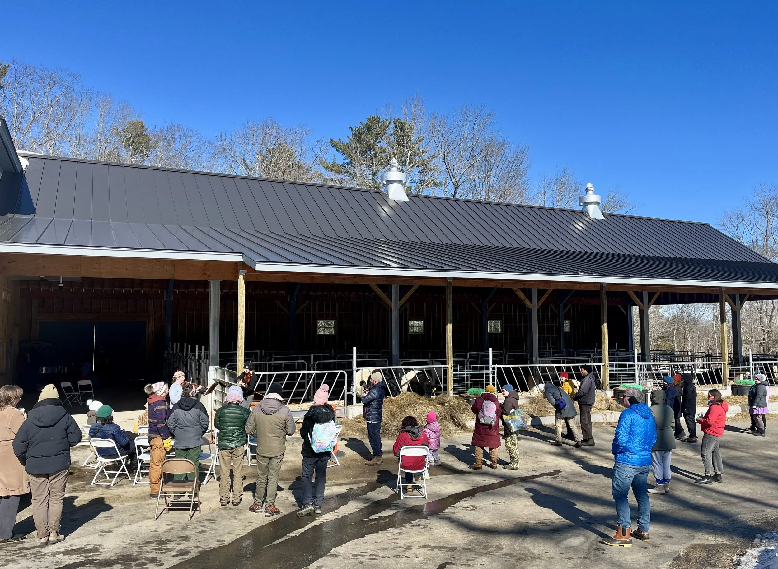 Music With Belties, February 2025. Rockport. Maine Coast Heritage Trust.