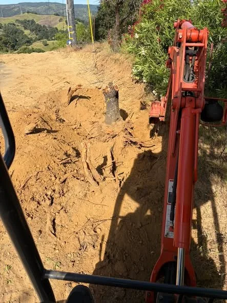 Land Improvments! 2.jpg