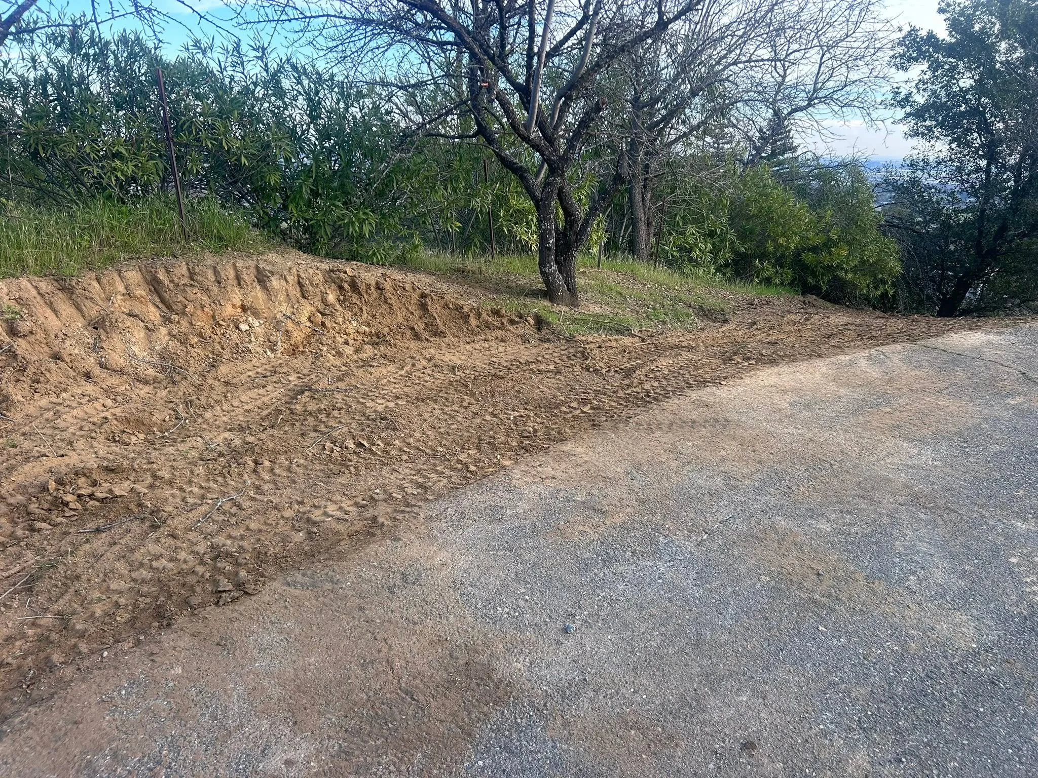 Land Improvments! 8.jpg