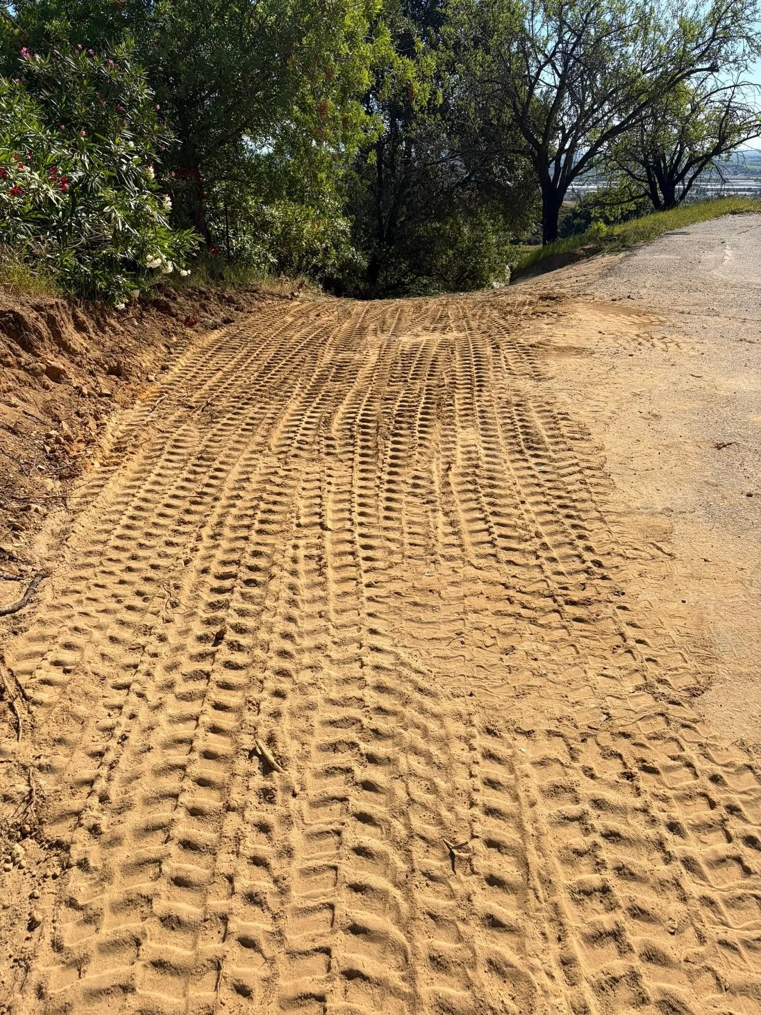 Land Improvments! 5.jpg