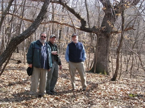 Three men standing in a leaf-covered forest near a large tree with twisting branches.