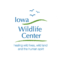 Iowa Wildlife Center