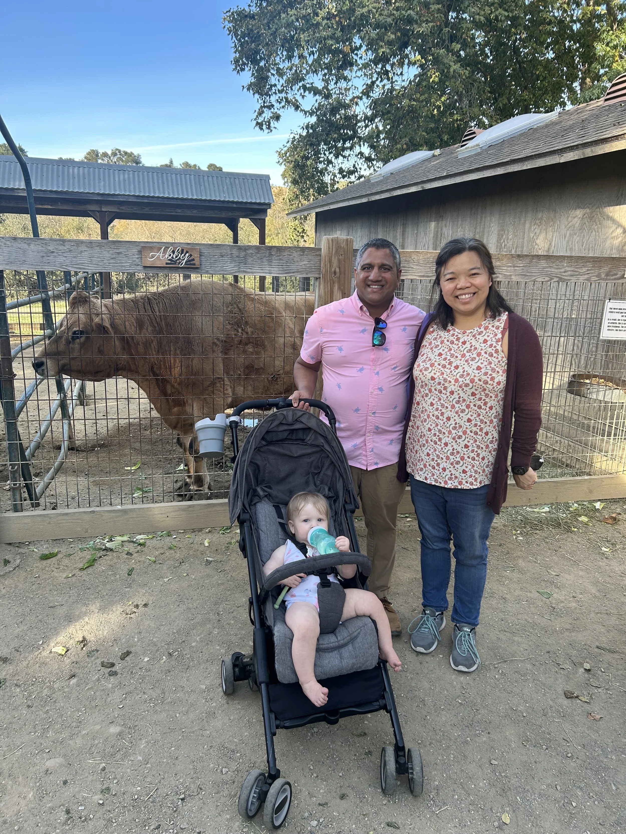 Two adults and a baby in a stroller standing in front of a zebra enclosure at a zoo. The man is wearing a pink shirt with a blue pattern, and the woman is wearing a sleeveless blouse with a floral print and a maroon cardigan. The baby in the stroller is holding a sippy cup and looking at the camera.