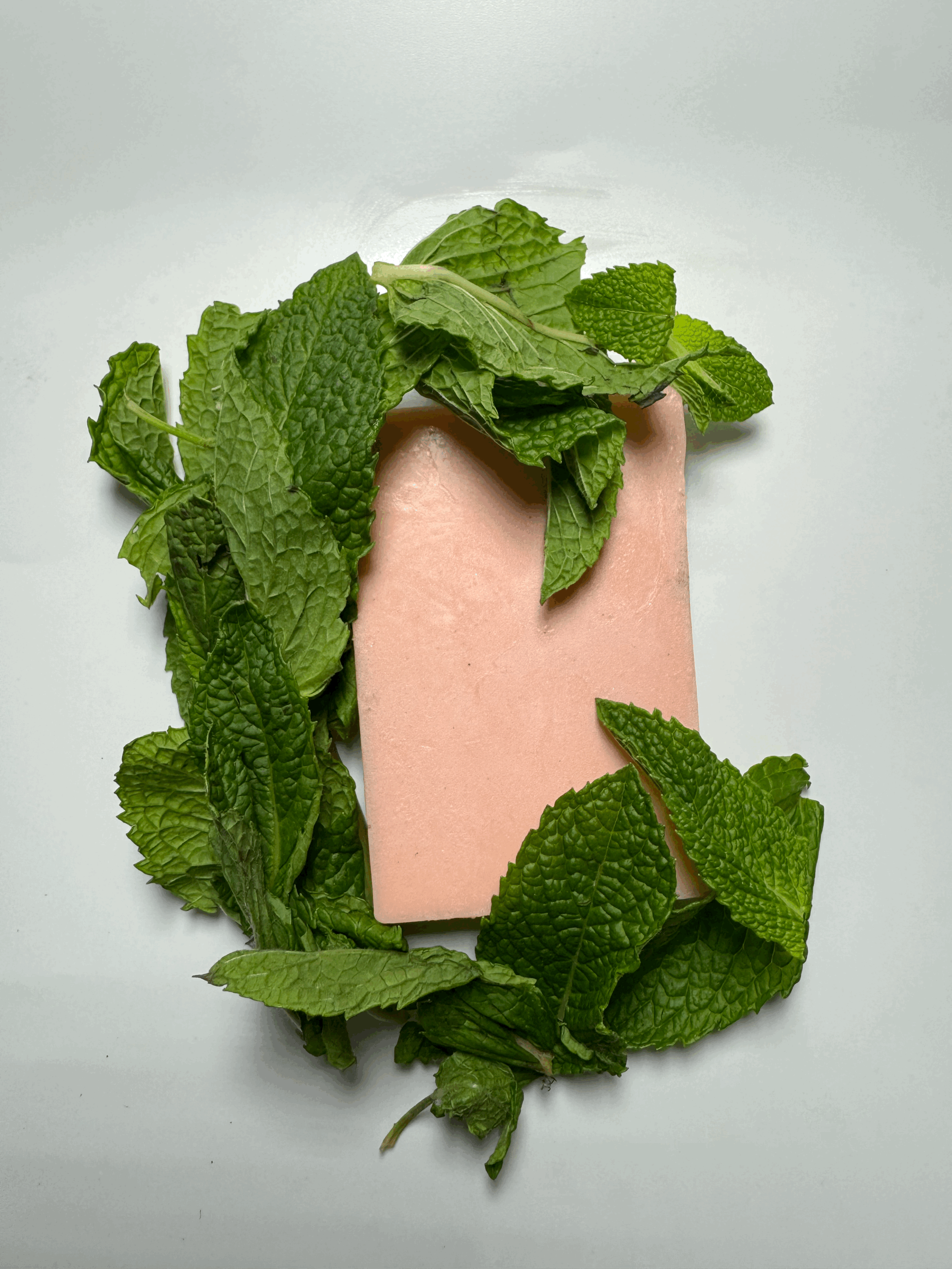 Stuff Peppermint Goat Milk Soap