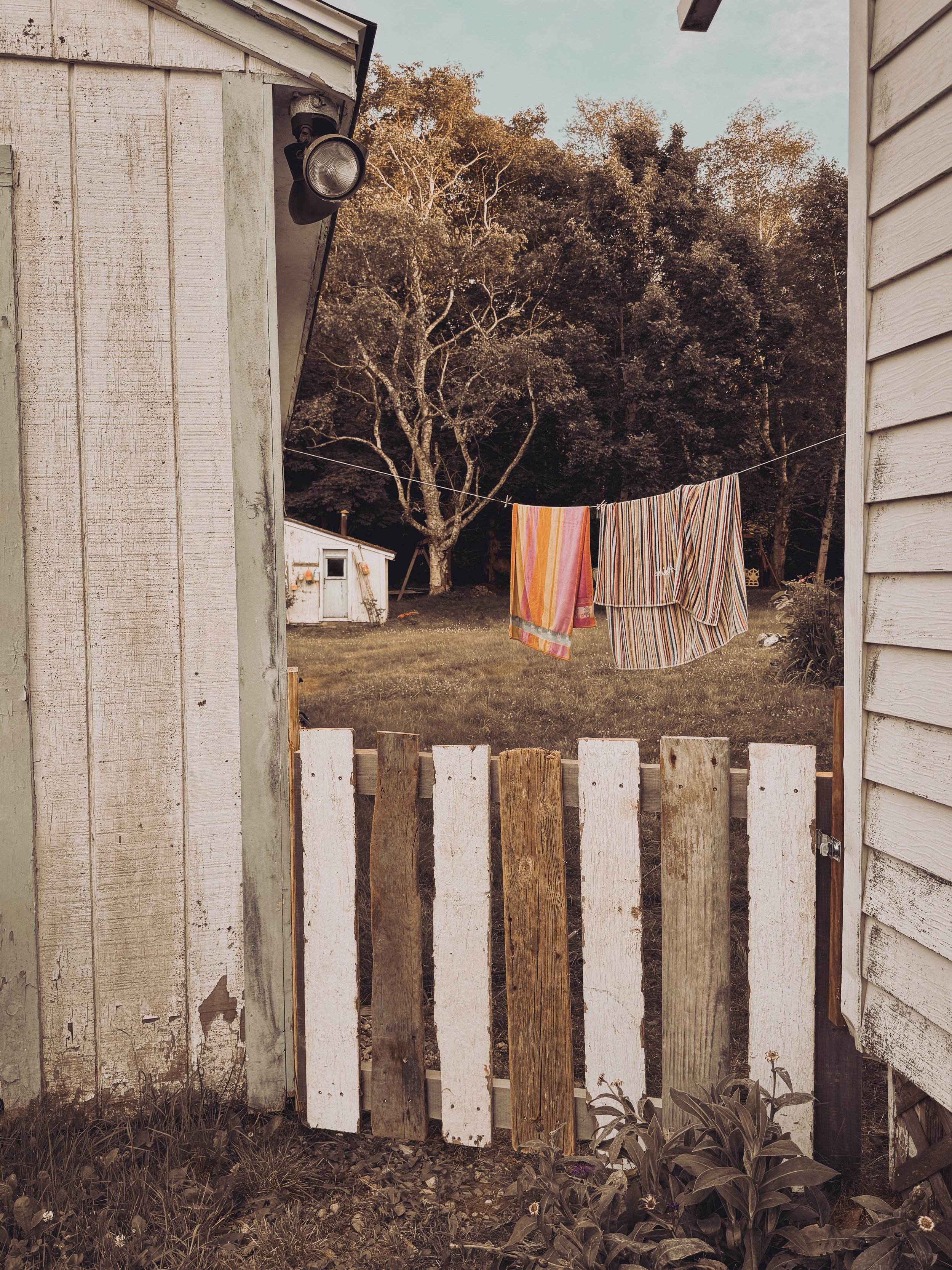 A view through a gap between two weathered wooden fences with a small clothesline hanging across, with colorful towels draped over it. In the background, there is a large tree with bare branches and a small white shed in a yard.