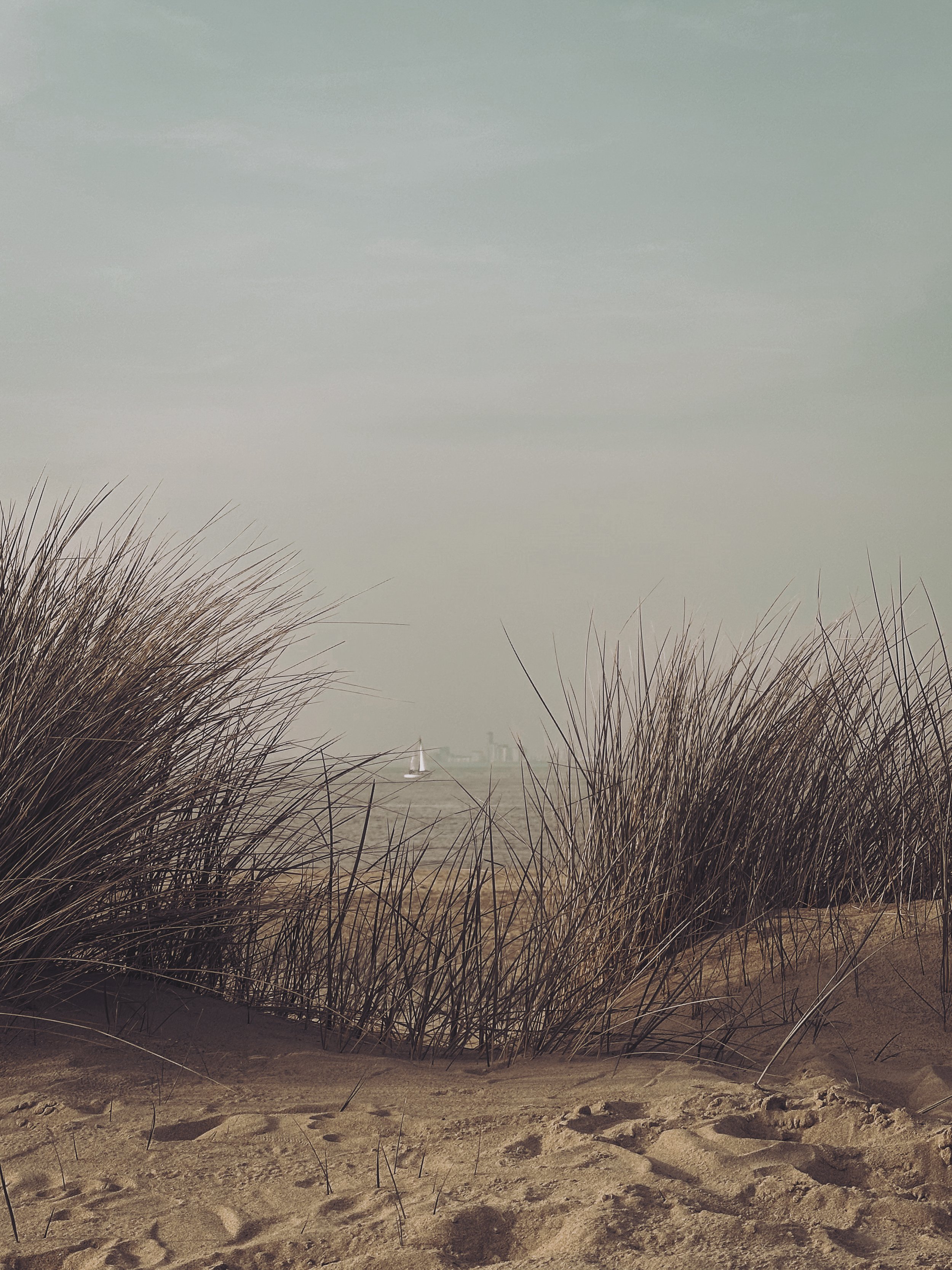 A sandy beach with dune grass in the foreground, calm water with a sailboat in the distance, and a cloudy sky