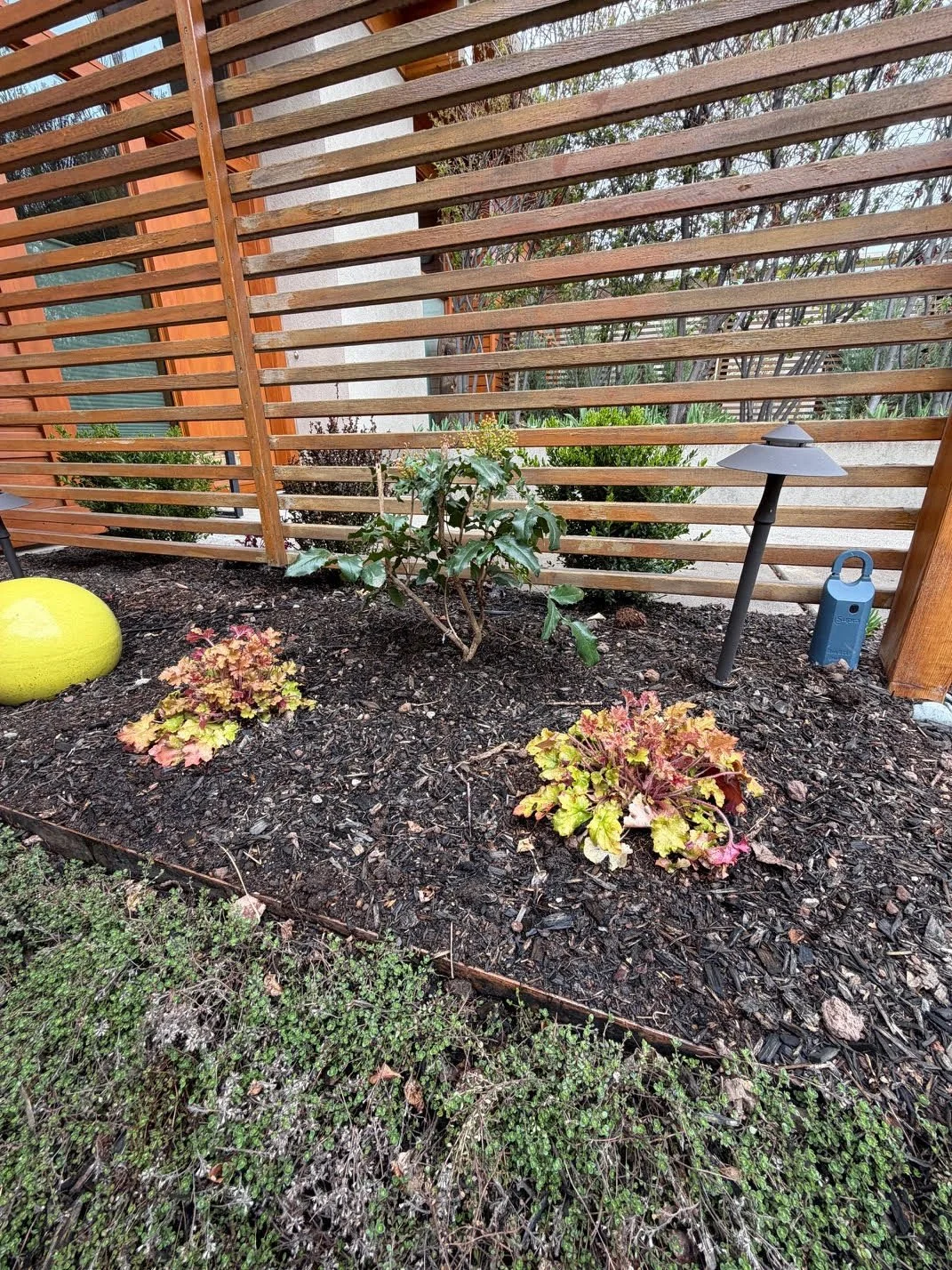 A landscaped garden bed with a small shrub, two colorful Heuchera plants, a yellow decorative object, a modern outdoor lamp, and a blue outdoor power outlet, enclosed by a wooden slat fence and neighboring trees in the background.