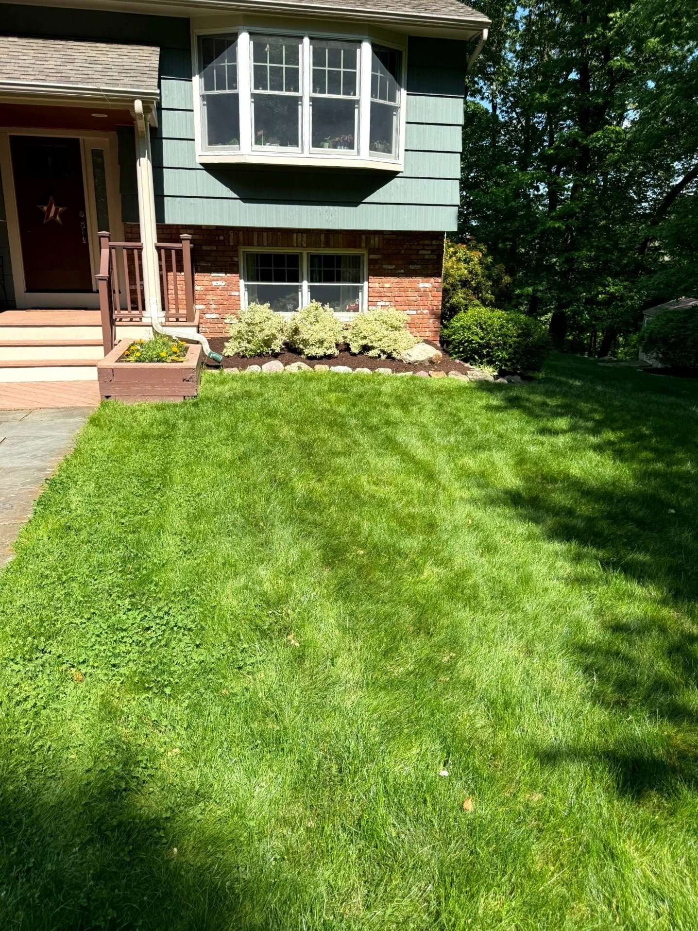 Front yard with green grass, a brick and siding house, a small staircase with a planter box, and shrubbery near the foundation of the house. Trees are visible in the background.