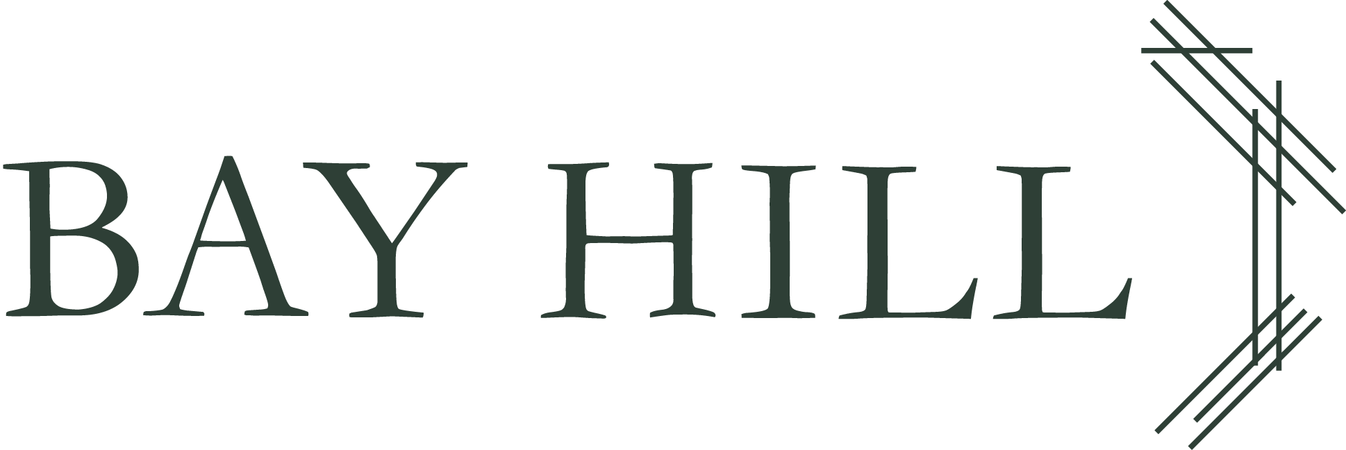 Image of the logo for BAYHILL with stylized green text and an abstract geometric border in the top right corner.