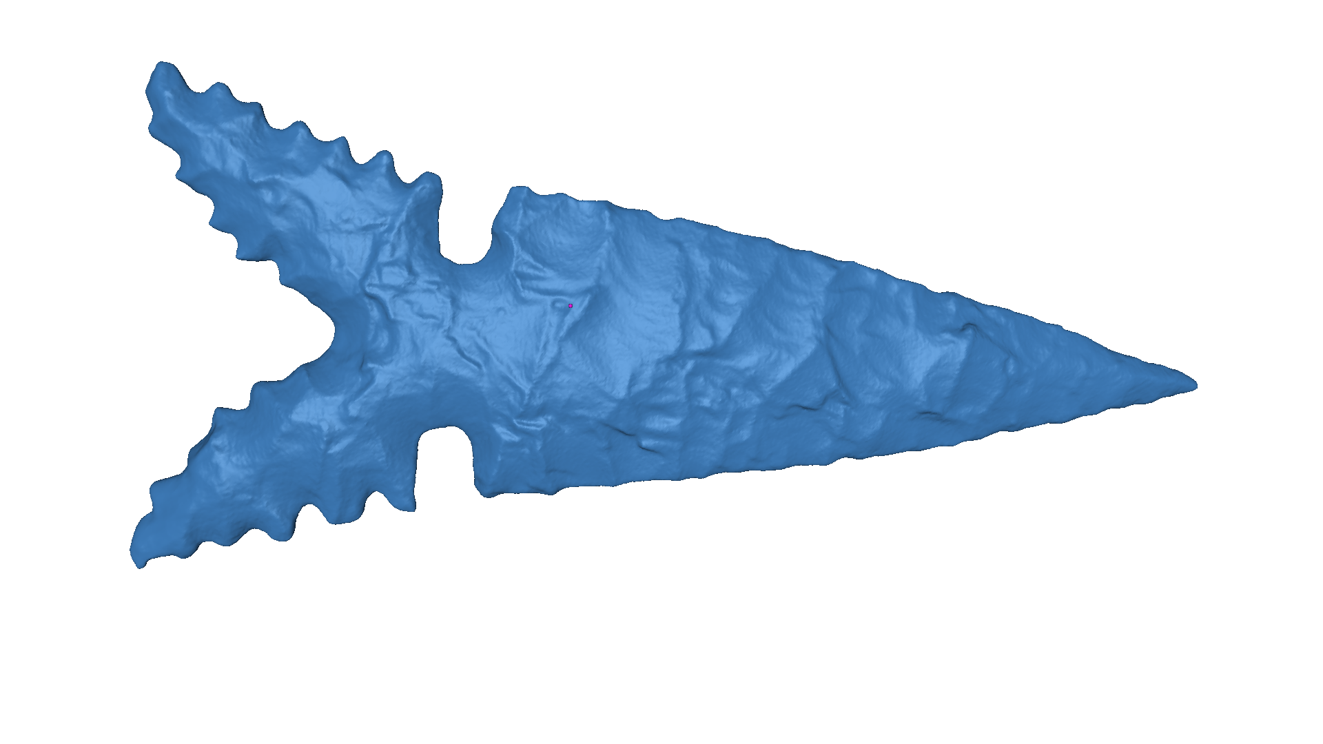 a 3D scan of a small lithic or projectile point scanned in exquisite detail using the Artec Spider II