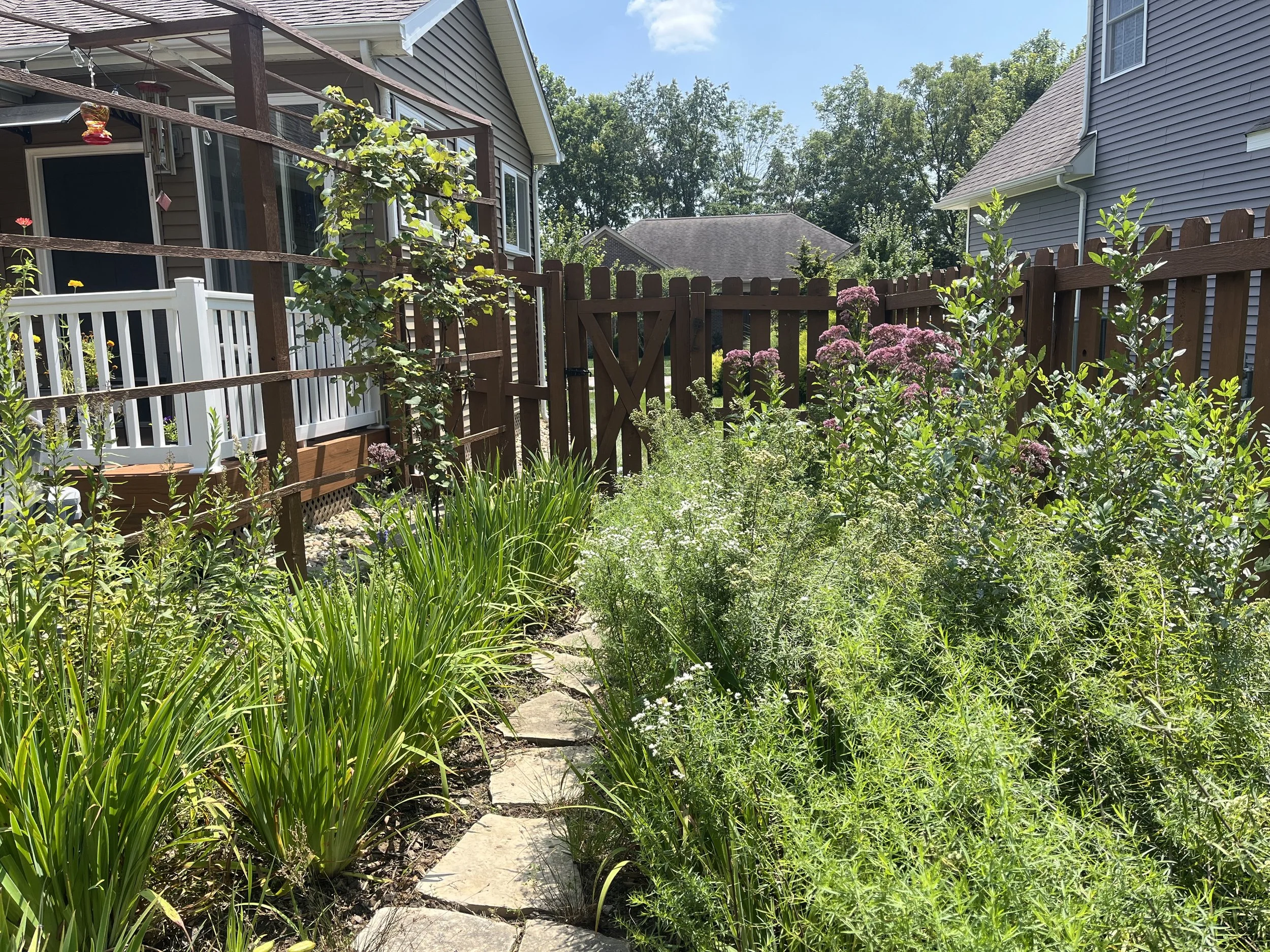 An elongated rain garden at the base of a slope to slow down, retain and drain runoff into the soil. Native blue flag iris, blue lobelia, purple joepye, Gray's sedge, path rush, Spiraea alba, wetland rose, buttonbush and the ever-adaptable narrow-lea