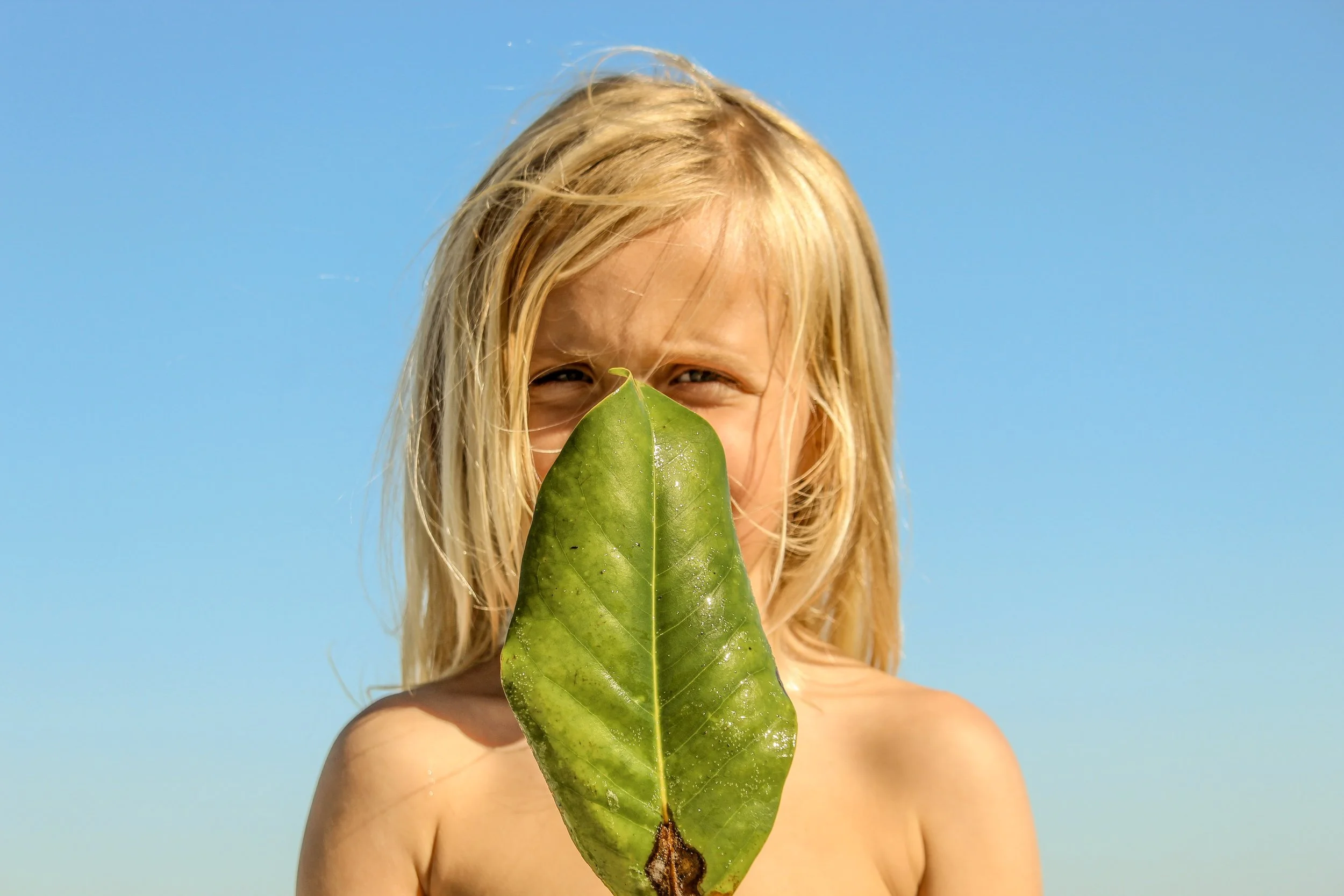 A young girl with blonde hair holding a large green leaf in front of her face, against a clear blue sky.