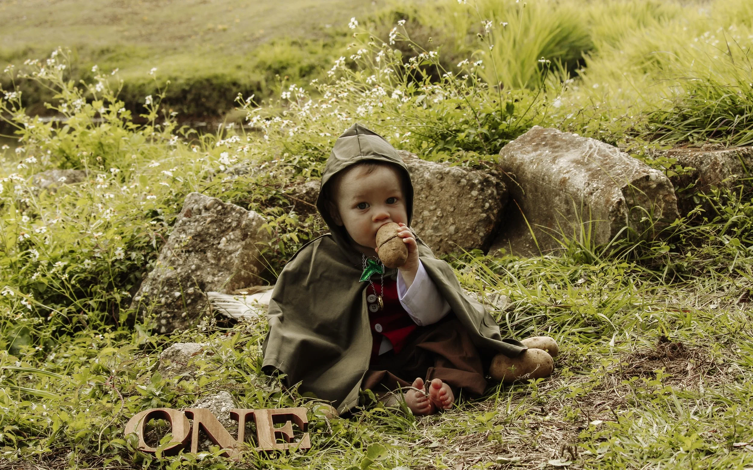 Young child dressed in a raincoat sitting among rocks and greenery, holding a potato and surrounded by wildflowers. The word 'ONE' is visible on the ground nearby.