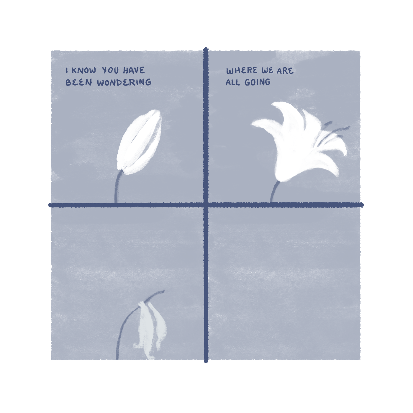 "I know you have been wondering where we are all going." Panel 1: A closed lily ready to bloom. Panel 2: The lily is open wide. Panel 3: The lily is drooping and faded. Panel 4: The lily is gone.