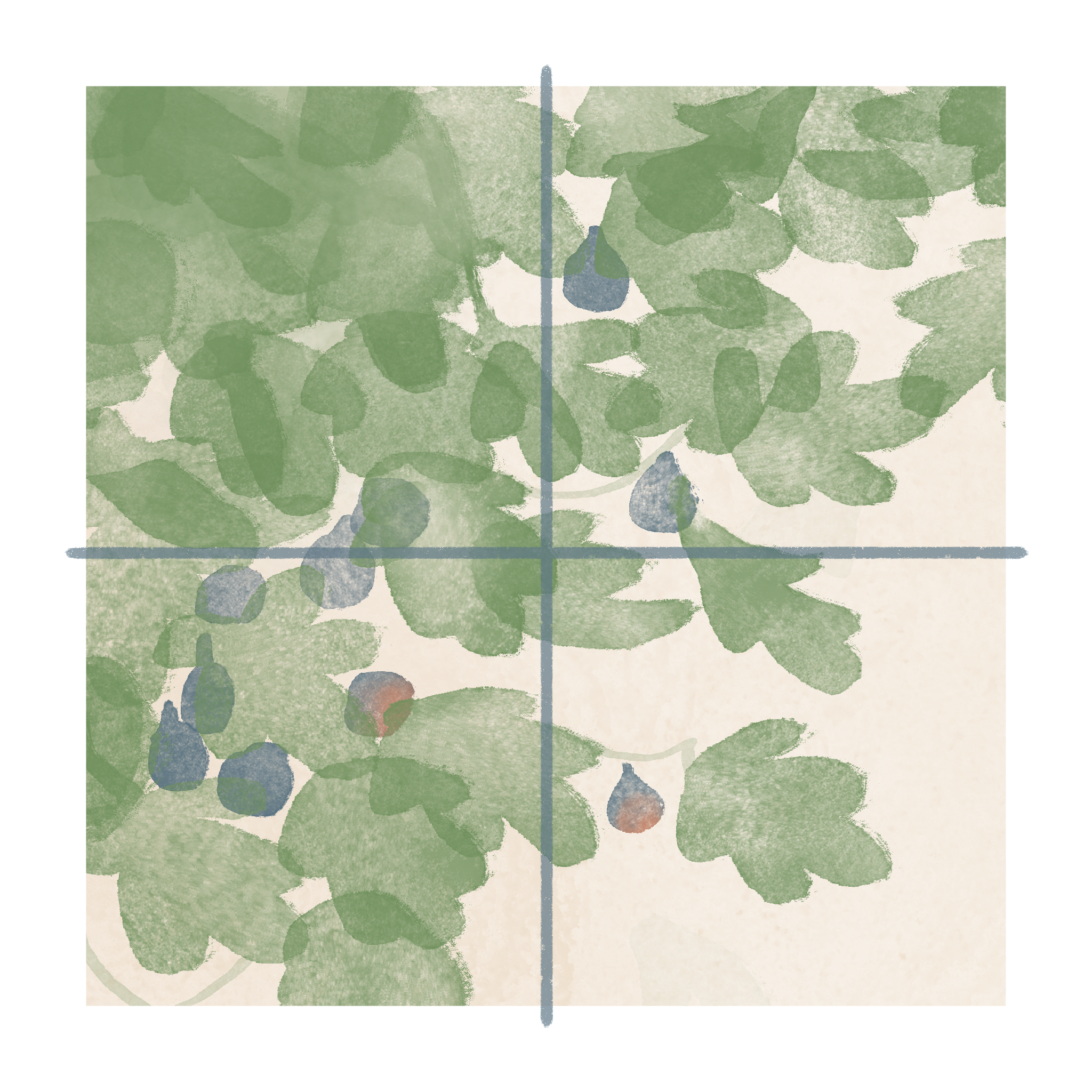 Image: A full fruiting fig tree. (Copy)