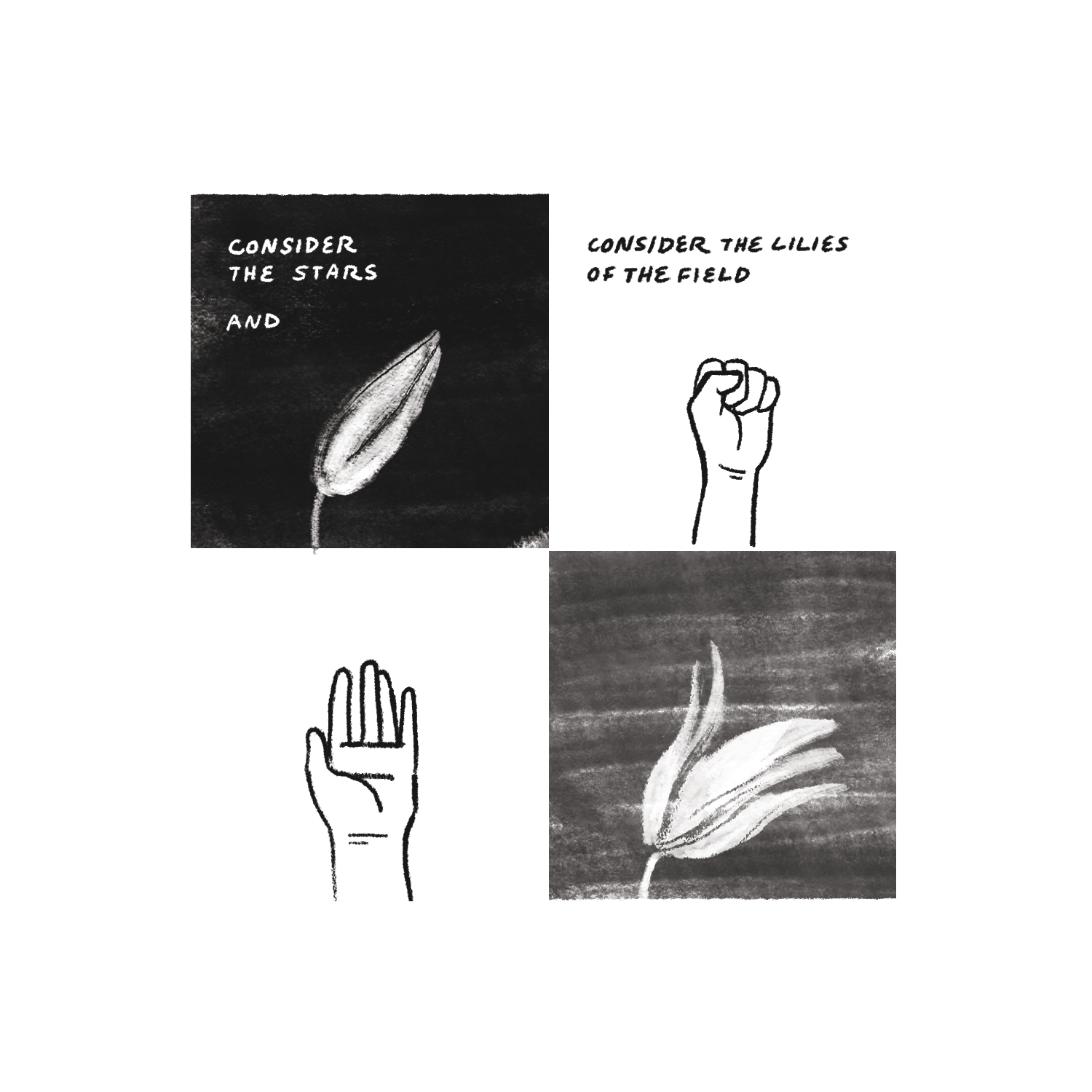 "Consider the stars. And. Consider the lilies of the field." A fist is tightly clenched, then opens. A lily is tightly closed, then blooms.