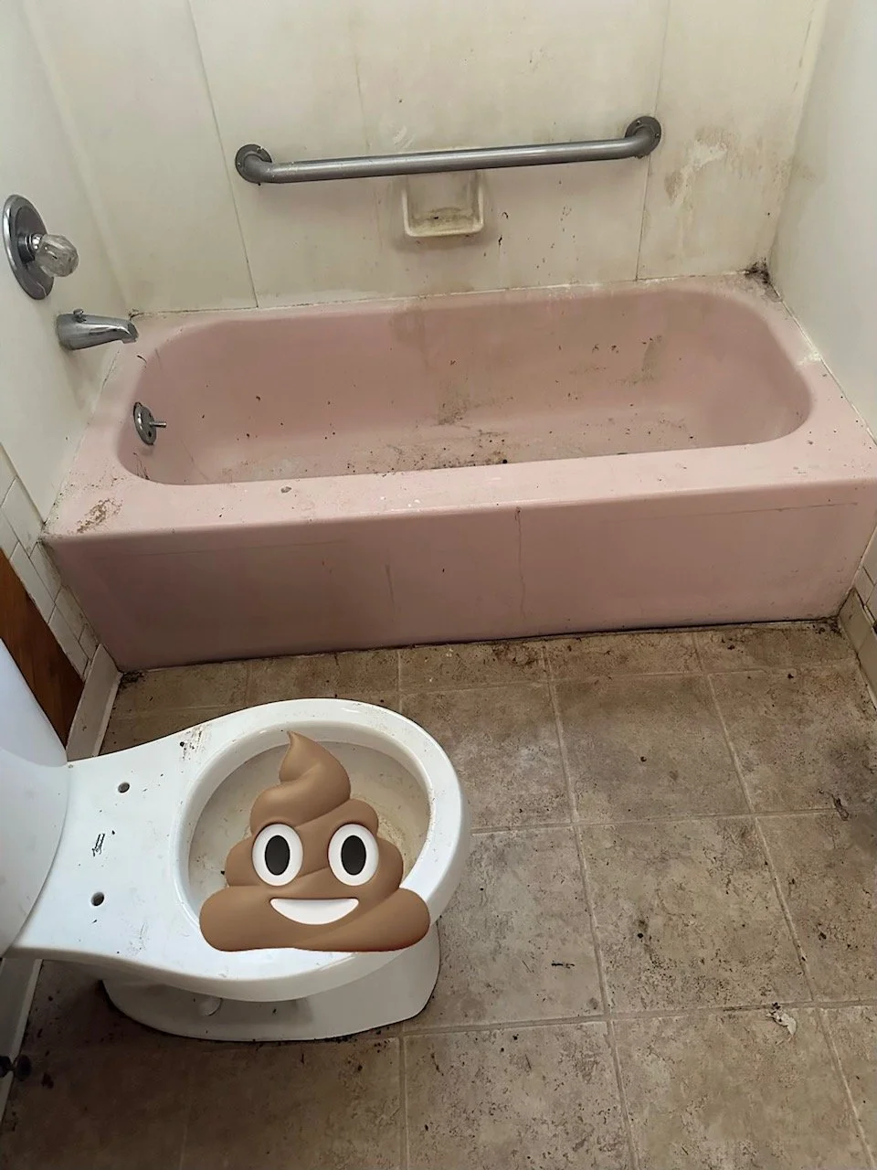 Toilet and Tub- Before