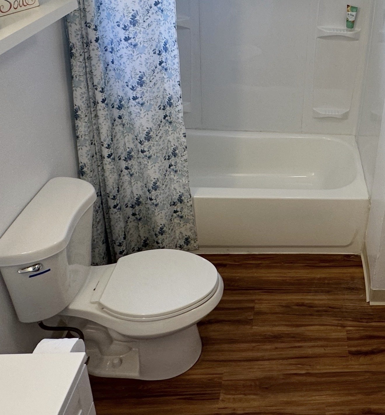 Toilet and Tub- After