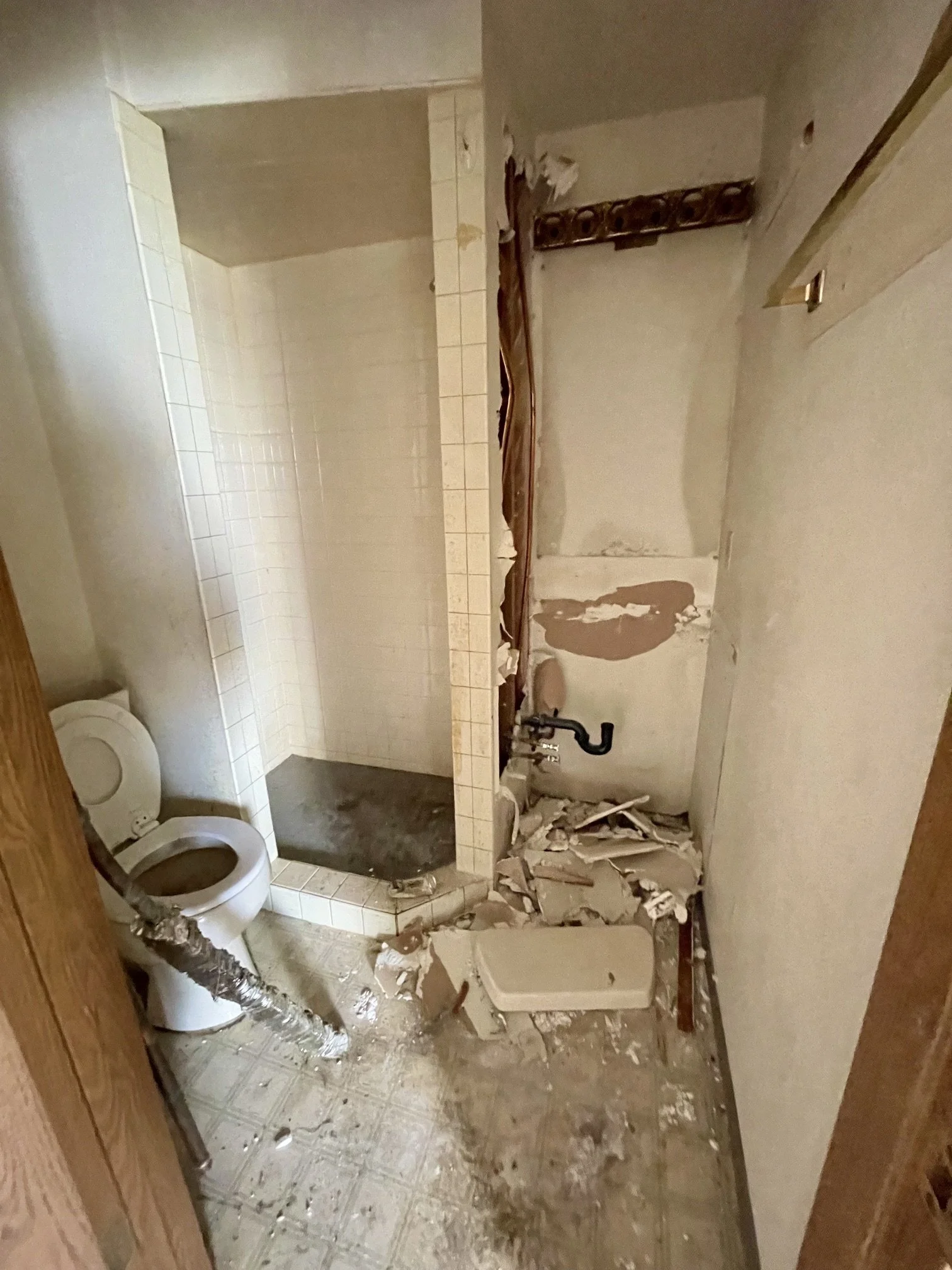 Apt 2 Bath 2- Before