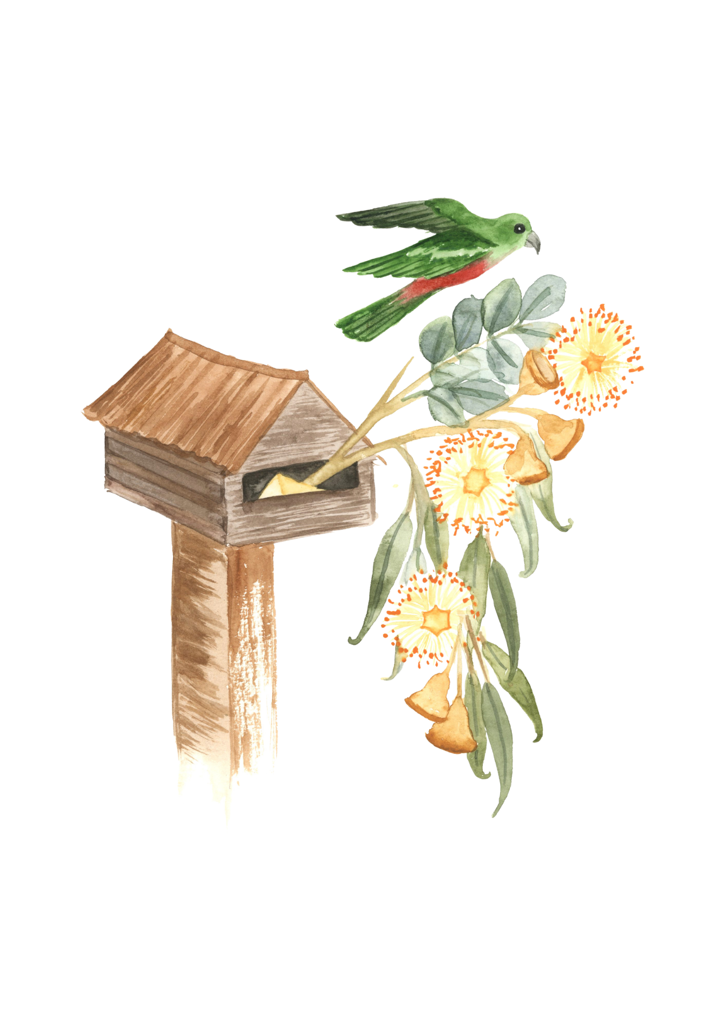 Watercolor illustration of a birdhouse with a green bird perched near a flowering plant.