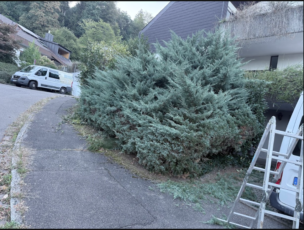 Hausmeisterservice und Grundstückspflege: TopClean Transporter und Leiter vor einem Wohnhaus am Hochrhein