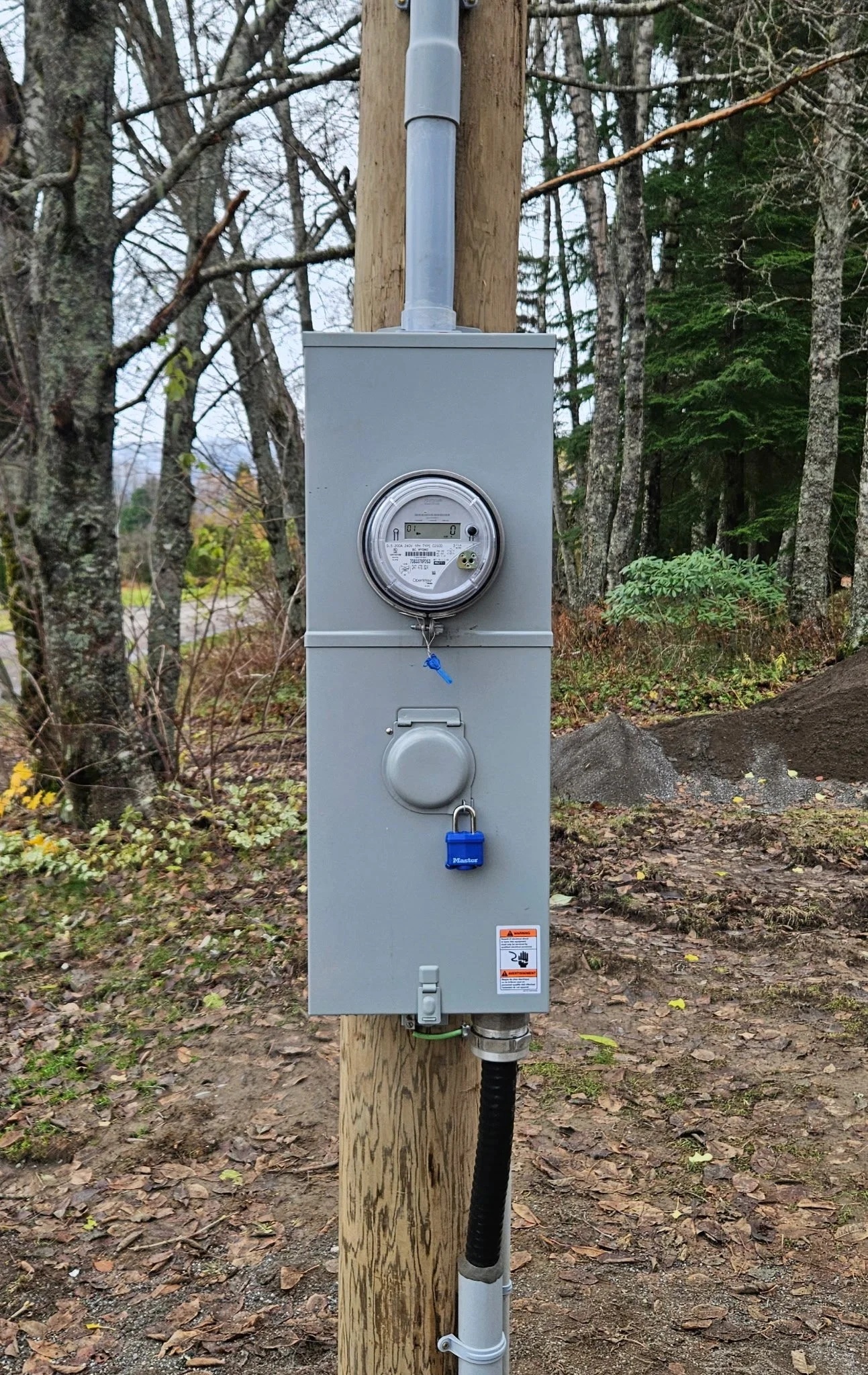 Electricity meter and electrical box mounted on a wooden utility pole in a wooded outdoor area.