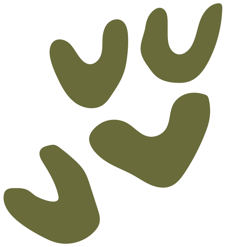 person