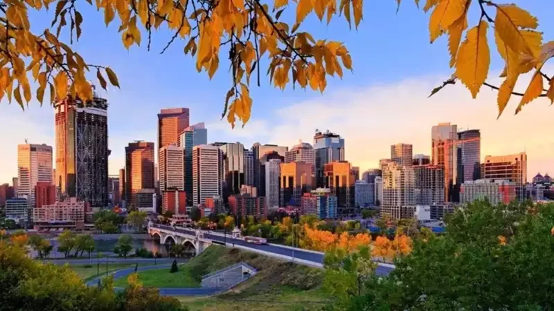 Moving to Calgary From Out of Province: The 2026 Relocation Buyer's Guide