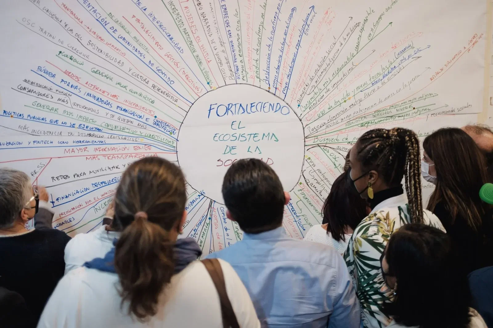 How Organizations Survive Outside Pressure