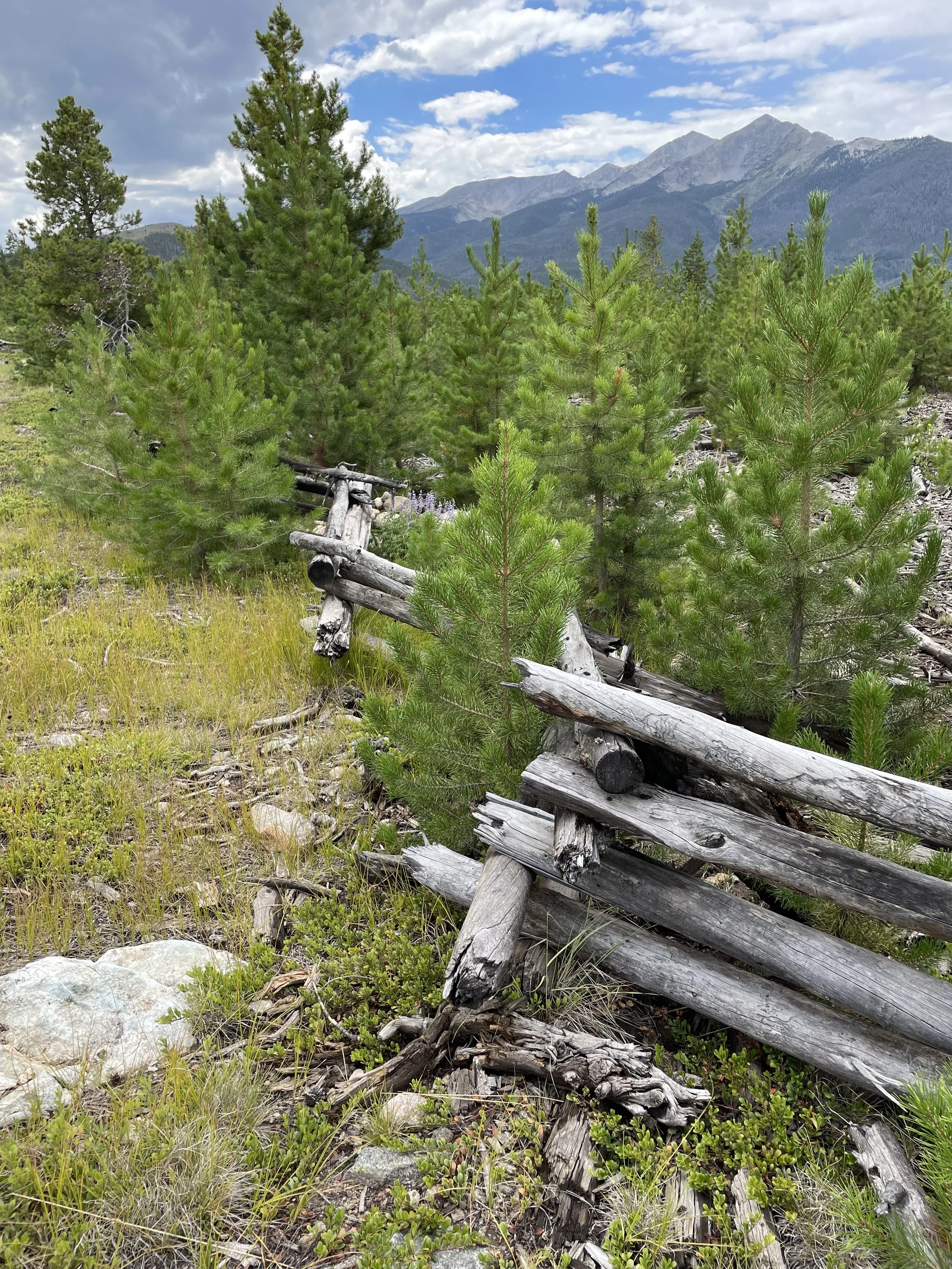 A scenic landscape of a mountainous area with green trees and a blue sky with clouds, featuring a fallen wooden fence in the foreground.