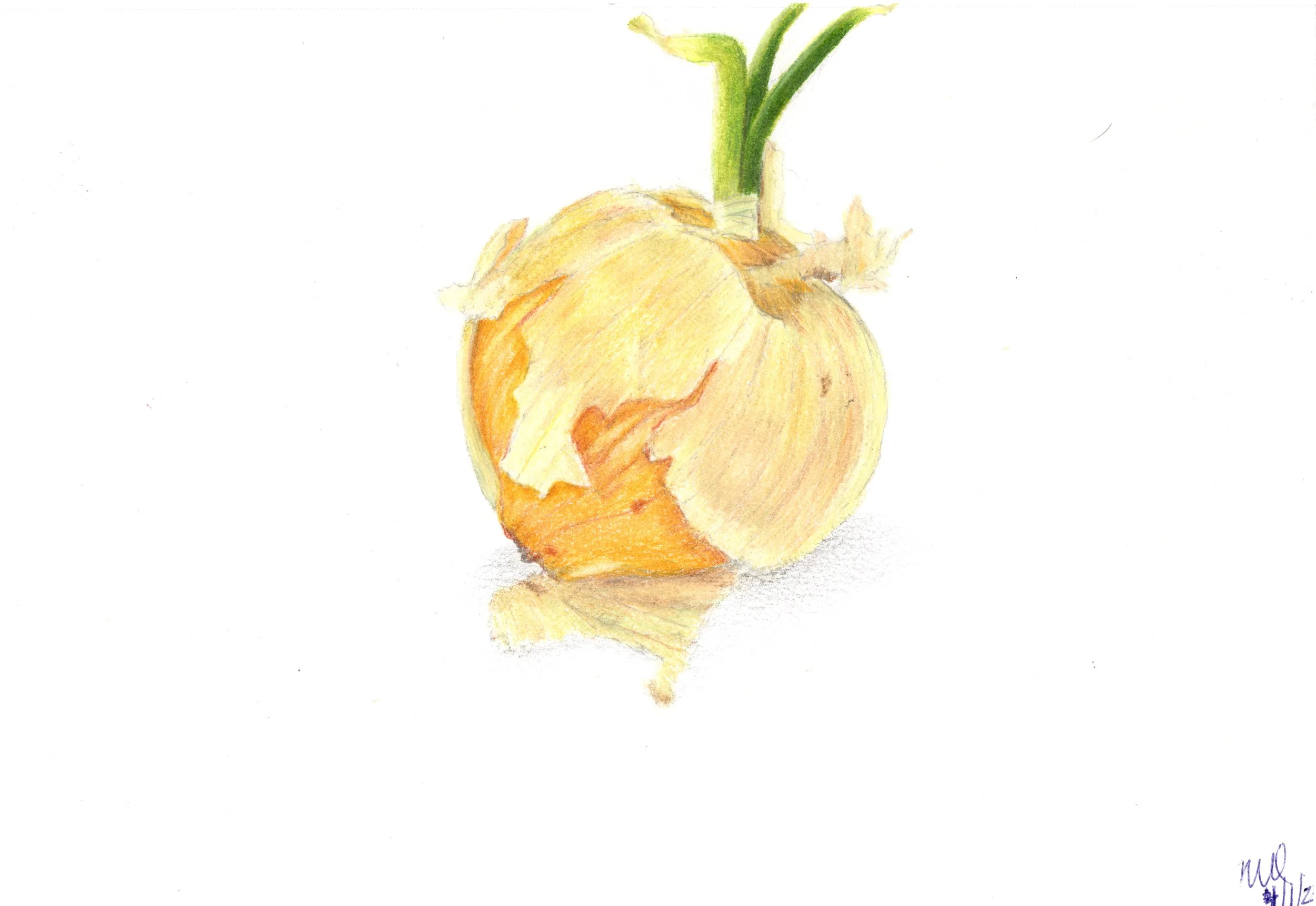 Vidalia