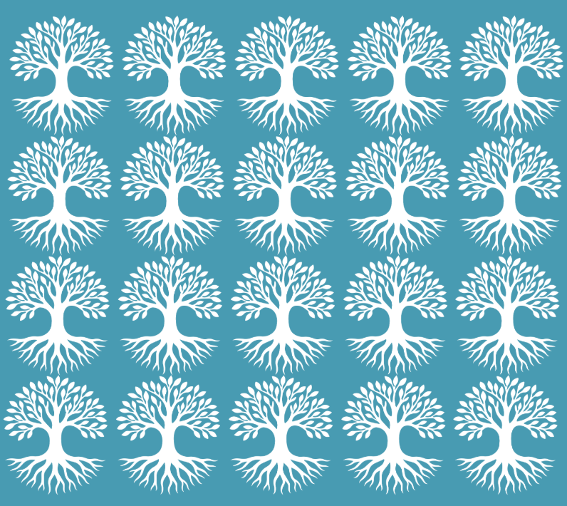 Screenshot 2026-06-23 at 11.17.21 AM.png