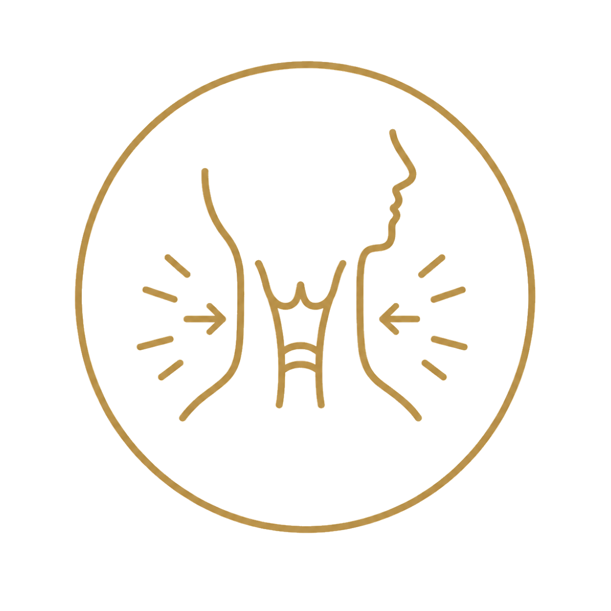 Stylized outline of a human nose with arrows indicating airflow through the nostrils.