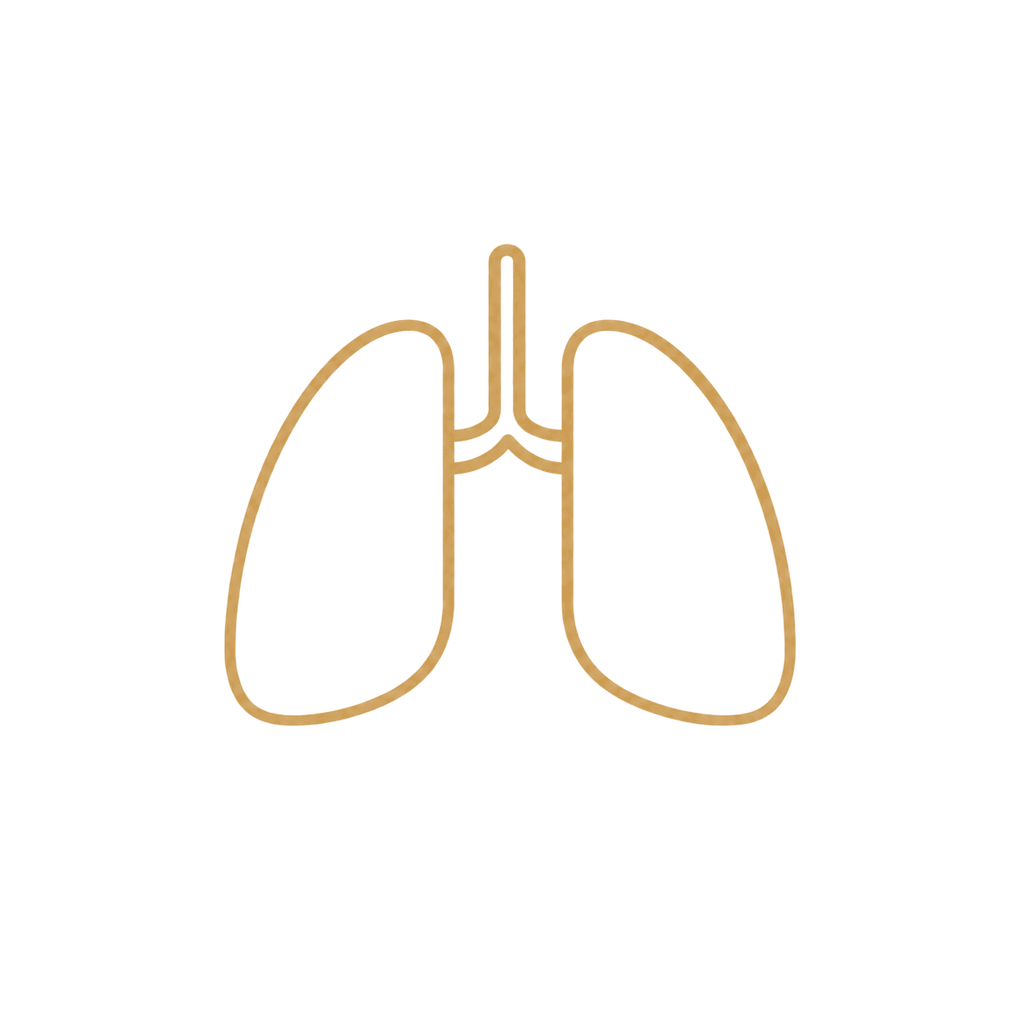 Stylized illustration of human lungs with trachea in gold color.