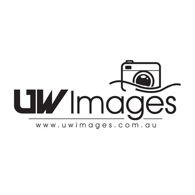 30x30logos733.jpg