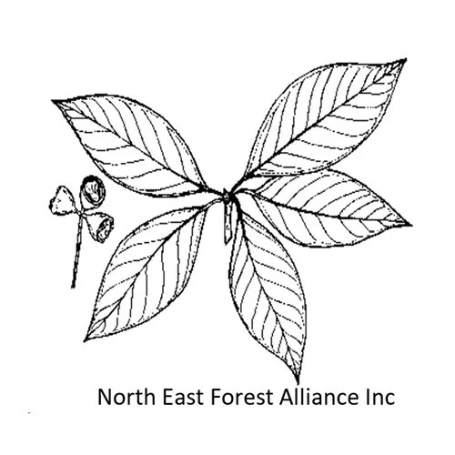 30x30logos253.jpg