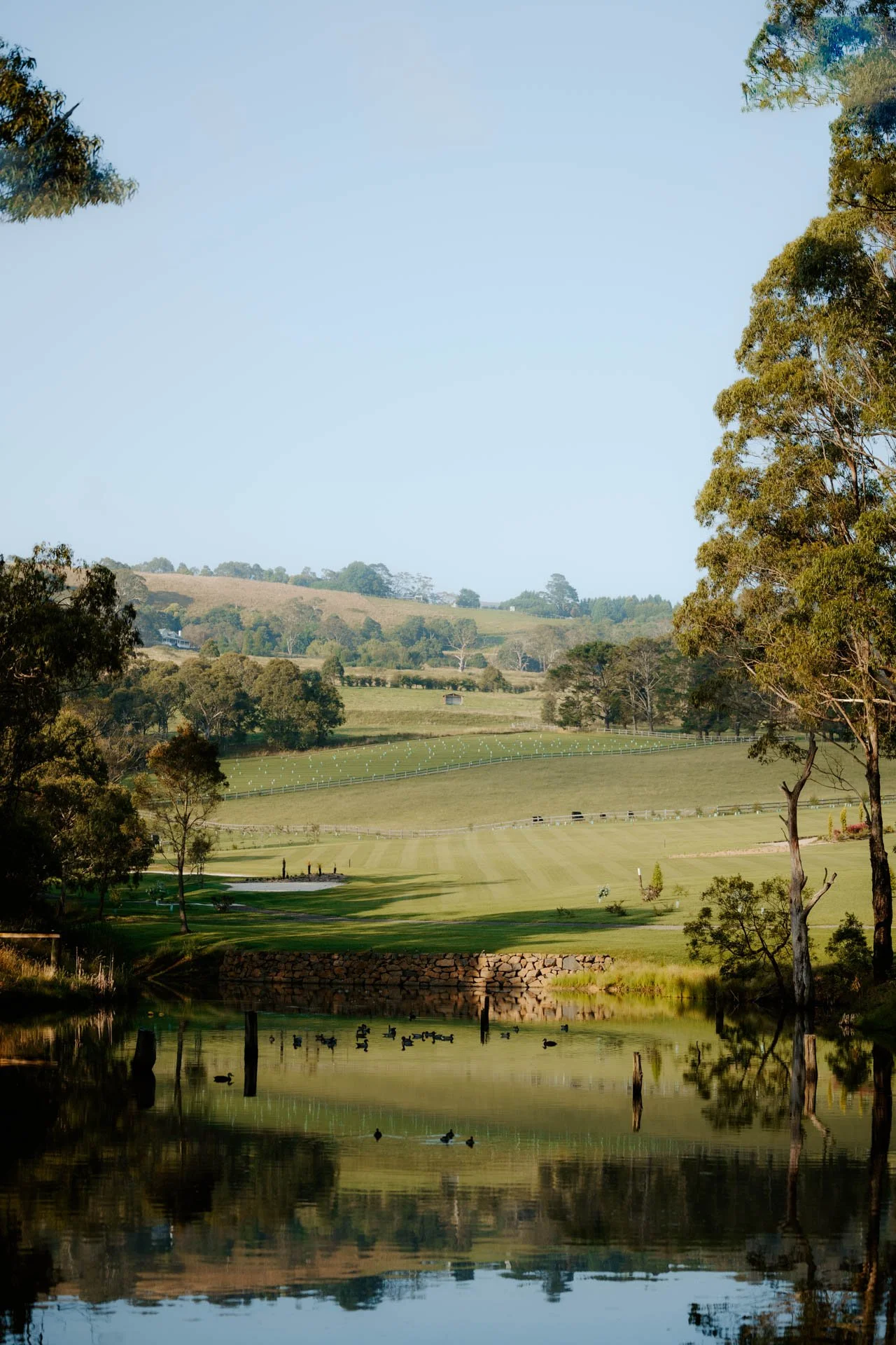 Autumn Park Luxury Estate Southern Highlands-03714.jpg