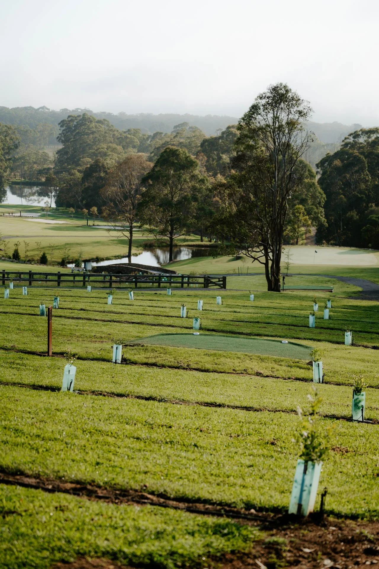 Autumn Park Luxury Estate Southern Highlands-03734.jpg
