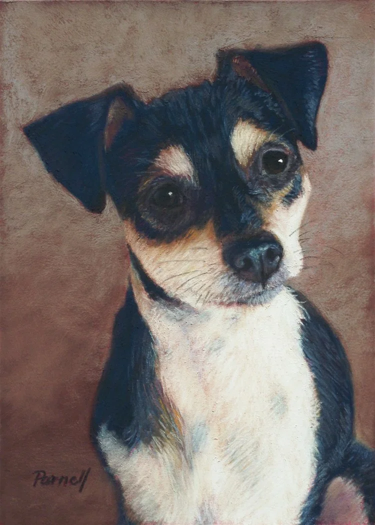 Painting of a small black and white terrier set against a red and khaki background