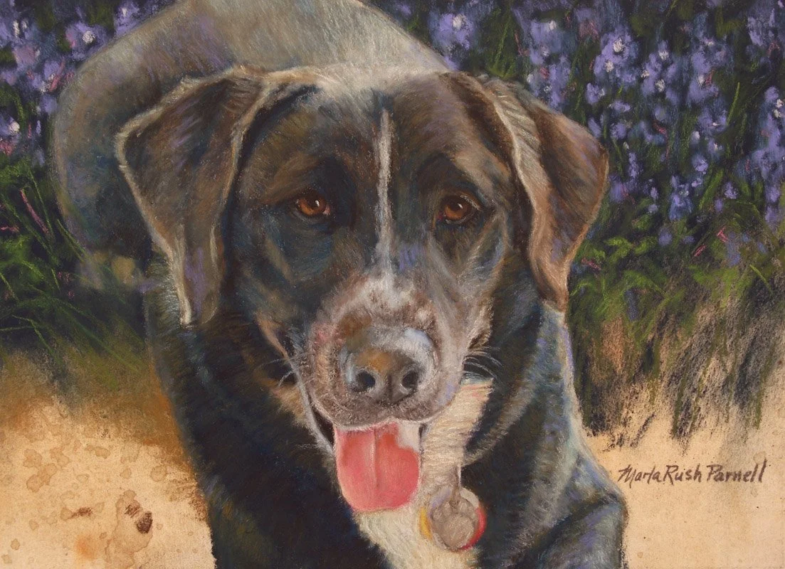 Painting of black dog with Texas blue bonnet flowers behind her
