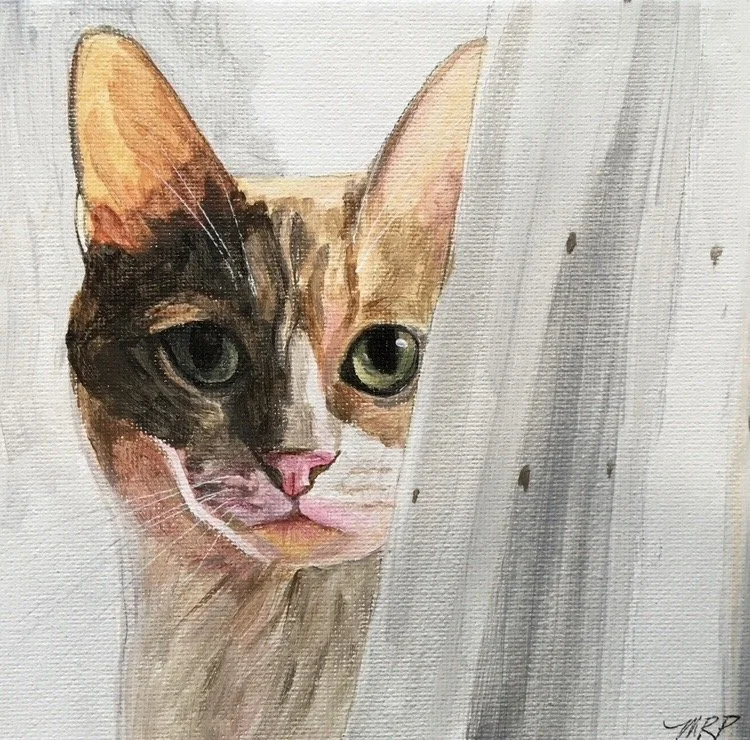 Painting of gold and white cat peeking around a white curtain.