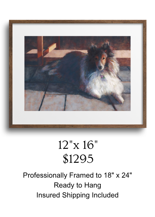 Example of framed 12x16in Sheltie Portrait