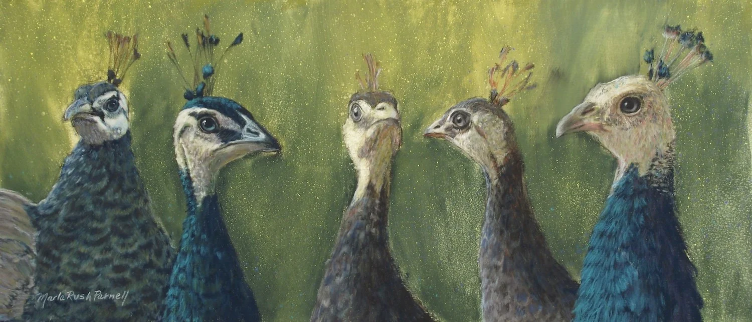 Painting of five peacocks, from their necks up on a green background