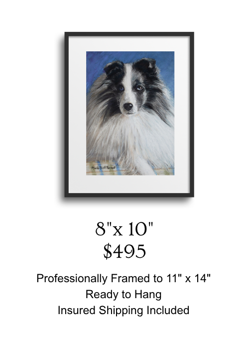 Example of Framed 8x10in Sheltie Portrait